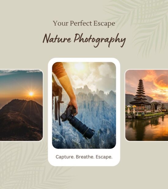 Why Nature Photography Might Provide the Escape You Want?